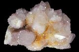 Cactus Quartz (Amethyst) Crystal Cluster - South Africa #132518-2
